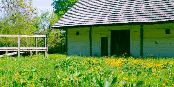a rustic home in a field