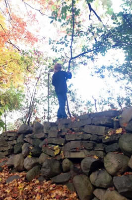 Photograph Courtesy of Melissa Hill