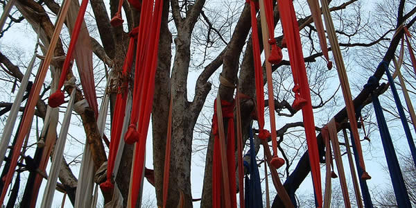 a tree with red ribbons hanging from it