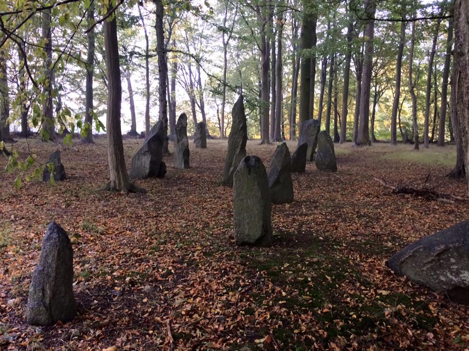 Another photograph of the standing stones in the forest.
