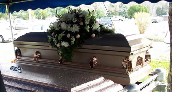 Sondra's Casket / Heron Michelle