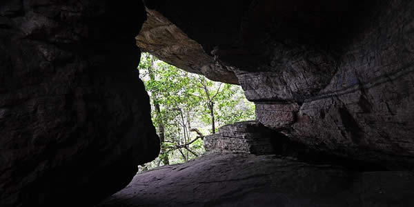 a photograph taken from within a cave of that cave's mouth