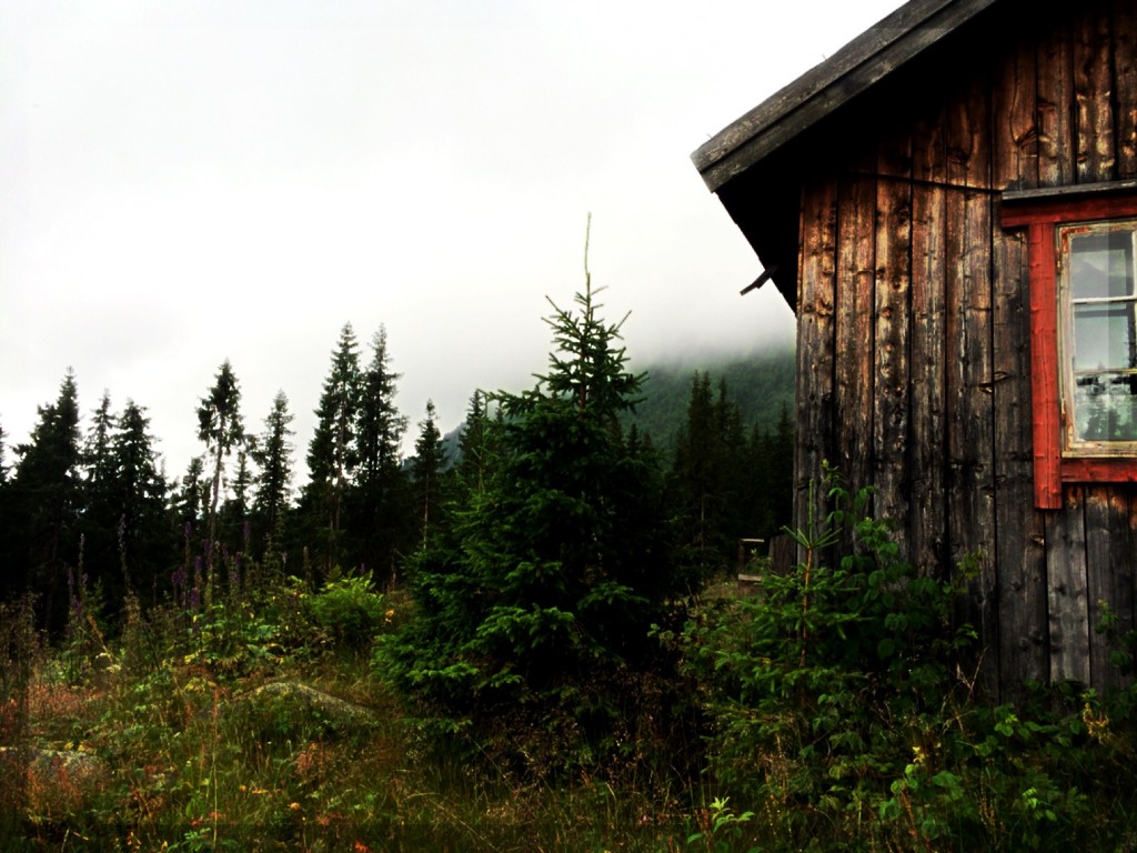 a small, rustic building on a forested hillside under cloudy skies