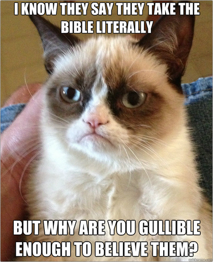  Grumpy Cat  on So Called Biblical Literalists James McGrath