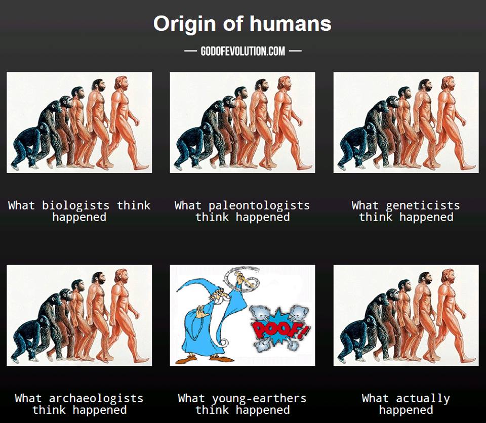 Origin of Humans
