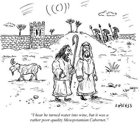 poor quality mesopotamian cabernet