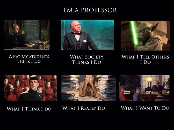 Professors - What I Really Do