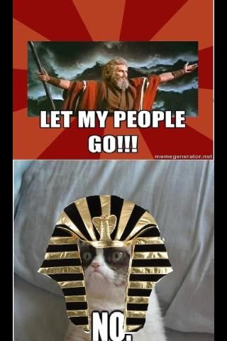 Grumpy Cat Pharaoh