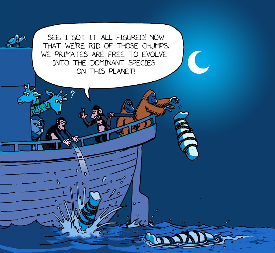 NoahReplacement