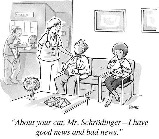 Schroedinger's Cat good news and bad news