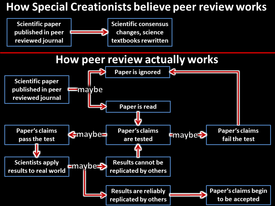 How Peer Review Actually Works