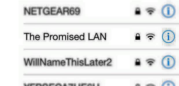 The Promised LAN