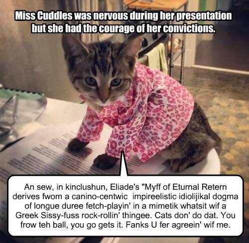 Cat courage of convictions