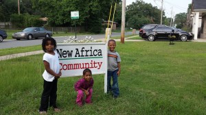 New Africa in Little Rock