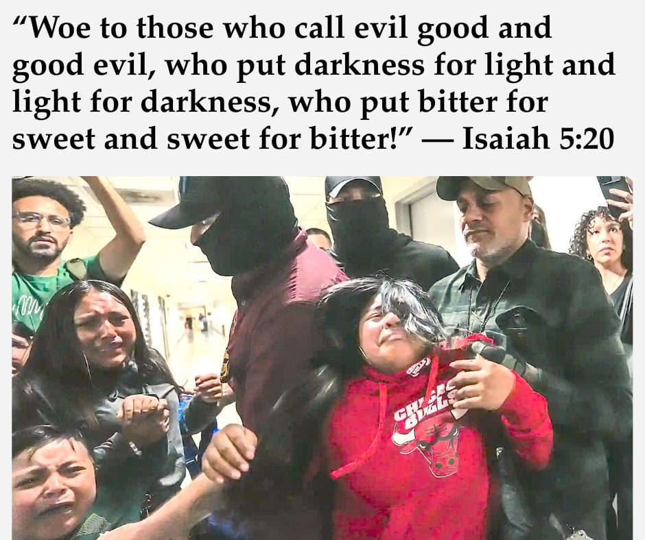 ICE Agents destroying lives and grabbing children