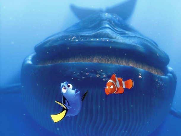 Svs: “finding Nemo” 