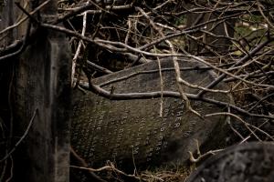 Photo by eddie howell on Unsplash Tombstone hidden by overgrown vegetation.