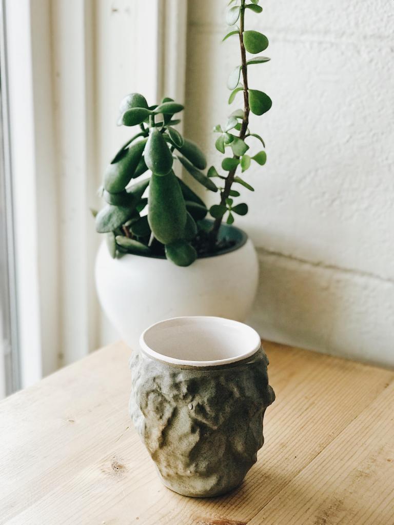 Ceramic mug and a potted succulant plant