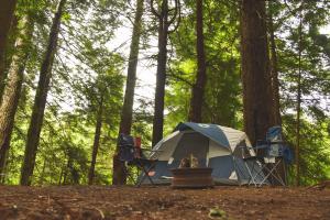 Photo by everett mcintire on Unsplash Campsite in the Redwood Forest