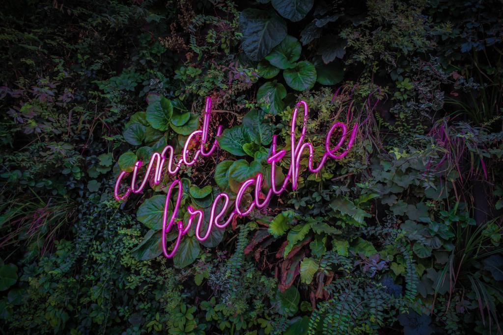 Photo by Victor Garcia on Unsplash Pink fluorescent sign in bushes