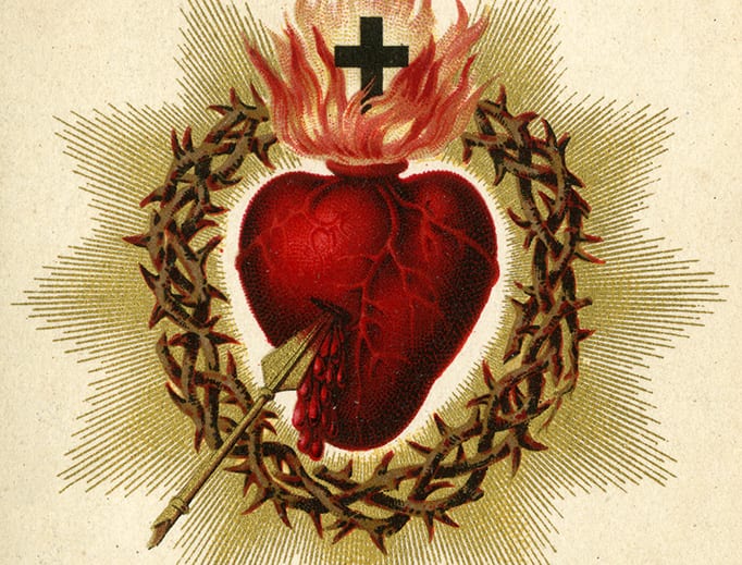 The Science Of The Sacred Heart: Tender Yet Metal | Sofia Carozza