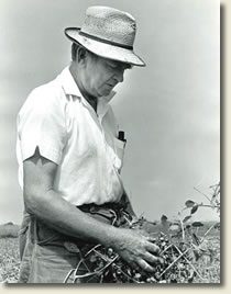 clarence jordan in field
