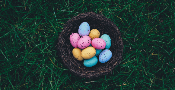 nest with easter eggs