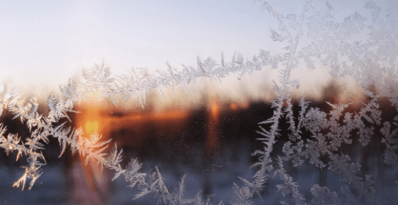 frozen window pane