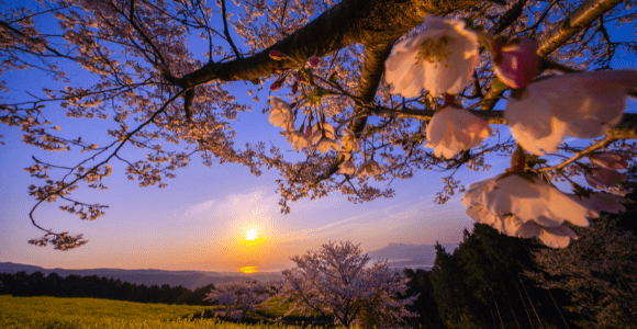 Spring sunrise