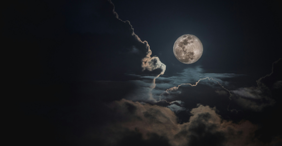 When Privilege Takes Risks for Justice