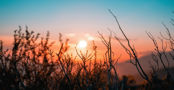Social Implications of Resurrection
