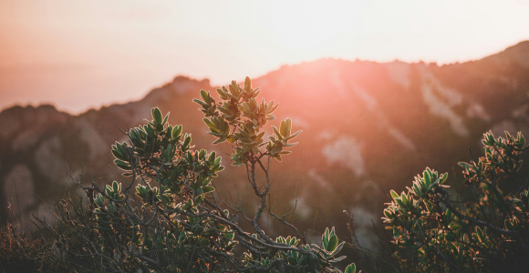 Emmaus and Rekindled Hope