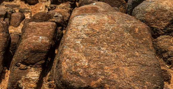 The Stones the Builders Reject