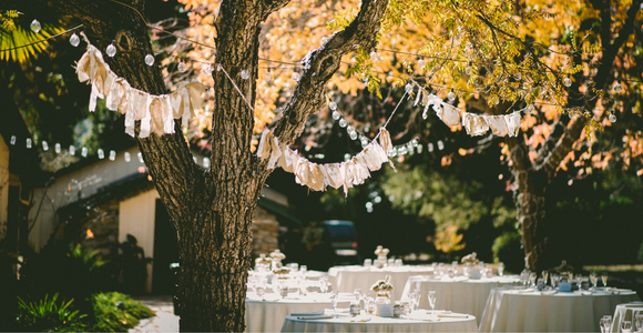 A Wedding Banquet and Participating in Justice