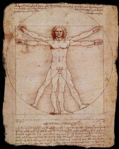 vitruvian-man-da vinci-1490-hylomorphism-form-matter