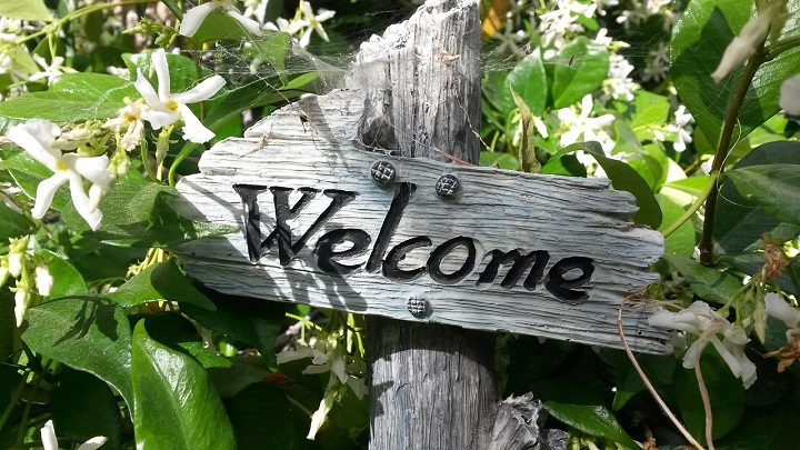 welcome
