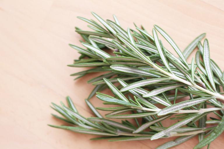 Rosemary