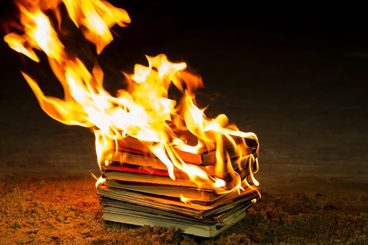 Burning Books? Let’s Confront The Real Issue. | Gwyn