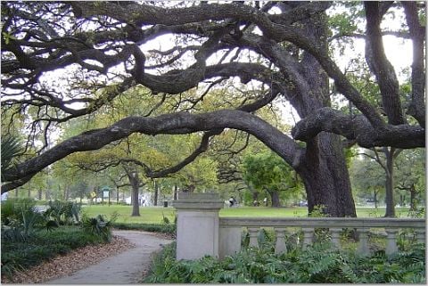 Entrance to Audubon Park on the St. Charles Ave. side. Image by Nicole Youngman. Entrance to Audubon Park on the St. Charles Ave. side. Image by Nicole Youngman.