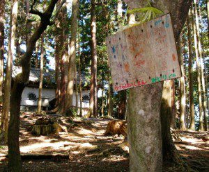 a handmade ema (prayer card) on a tree in a forest
