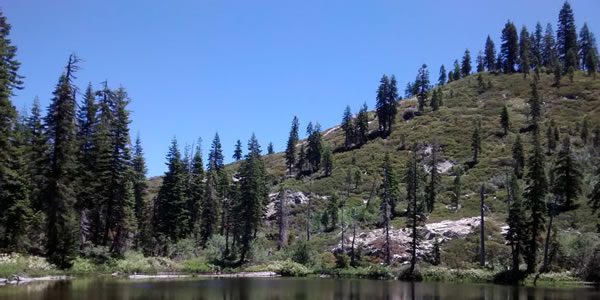 The wilderness near Mt. Shasta / Annika Mongan