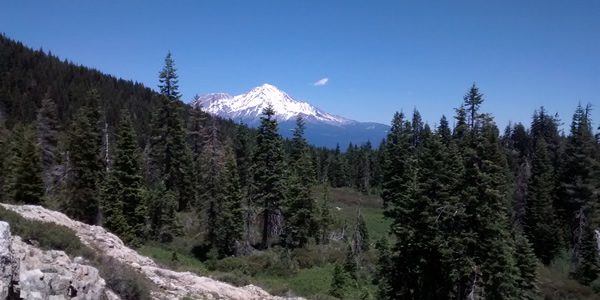 The wilderness near Mt. Shasta / Annika Mongan