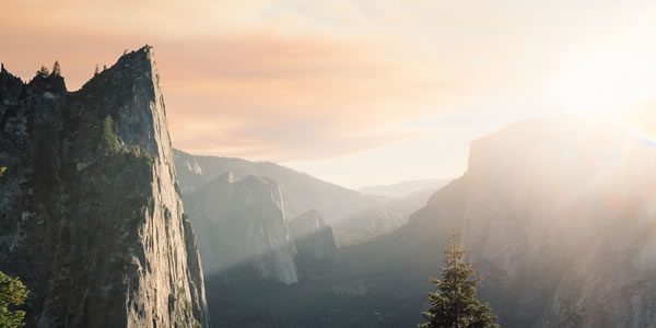 Tyssul Patel / unsplash.com