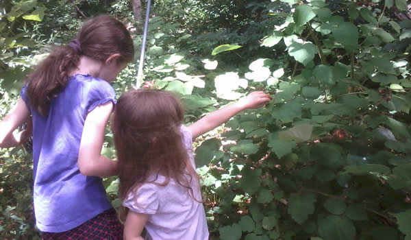 My daughters, gathering berries for Brón Trogain, 2013 / Morgan Daimler