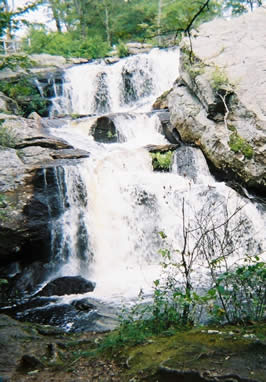 Devil's Hopyard State Park, Connecticut / Morgan Daimler