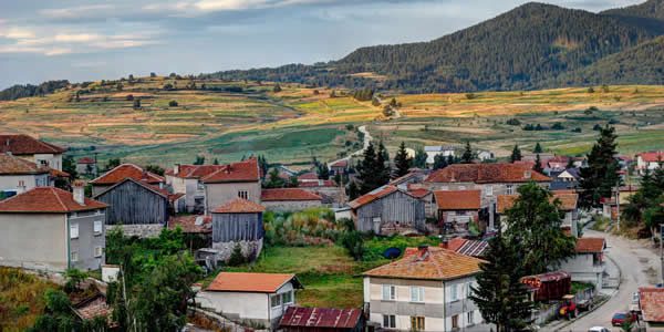 a red roofed village