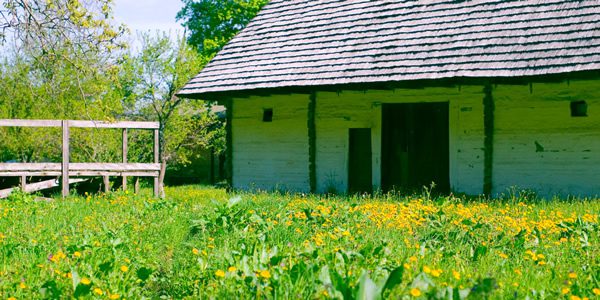 a rustic home in a field