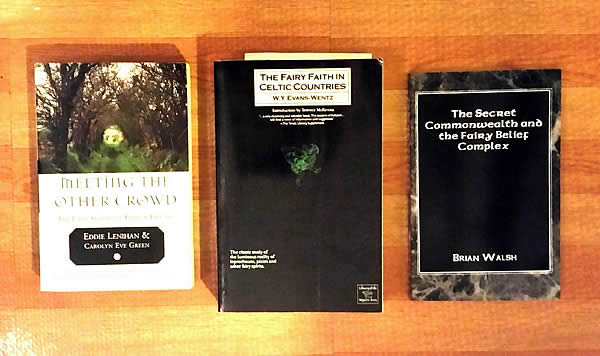 Three essential books to read on Irish fairy lore / M. Daimler 2015