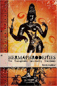 Cover of Hermaphrodeities: The Transgender Spirituality Workbook by Raven Kaldera