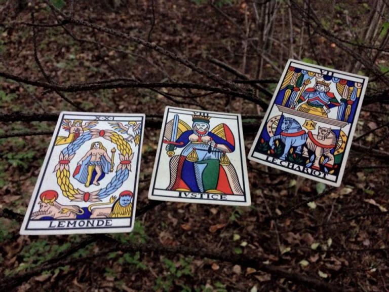 Three tarot cards arranged on the branches of a low bush